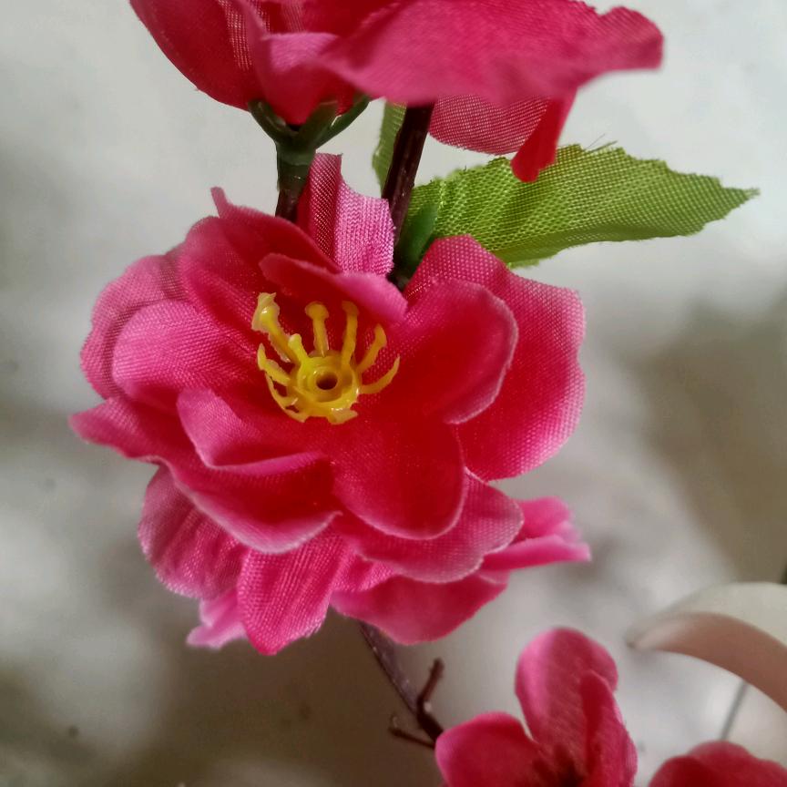 菊姐:小号:早5点10分