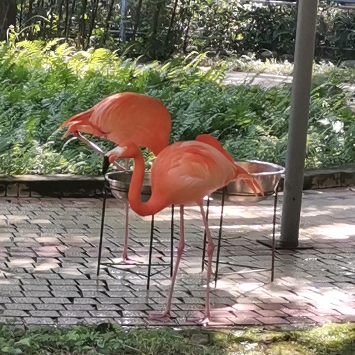 最美的守候