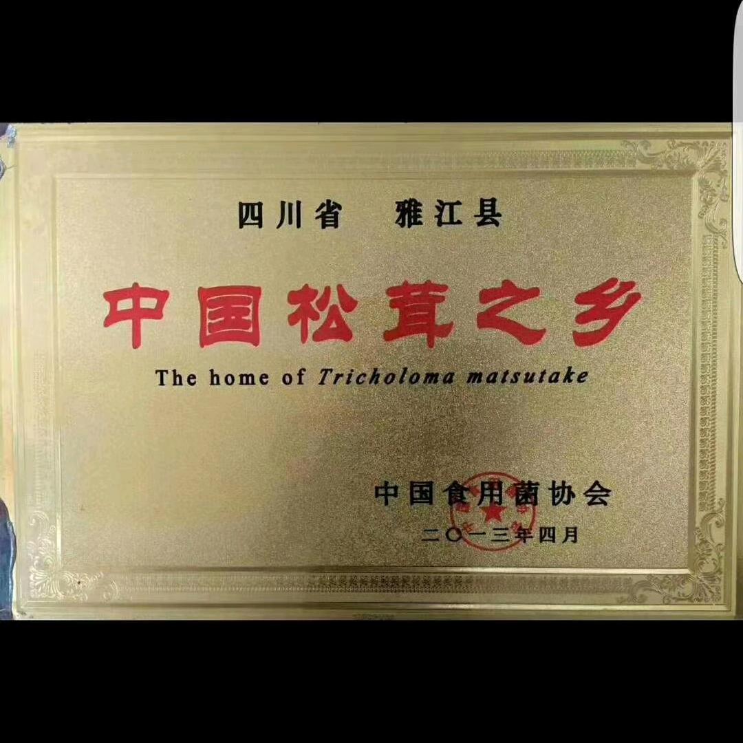 世界和平