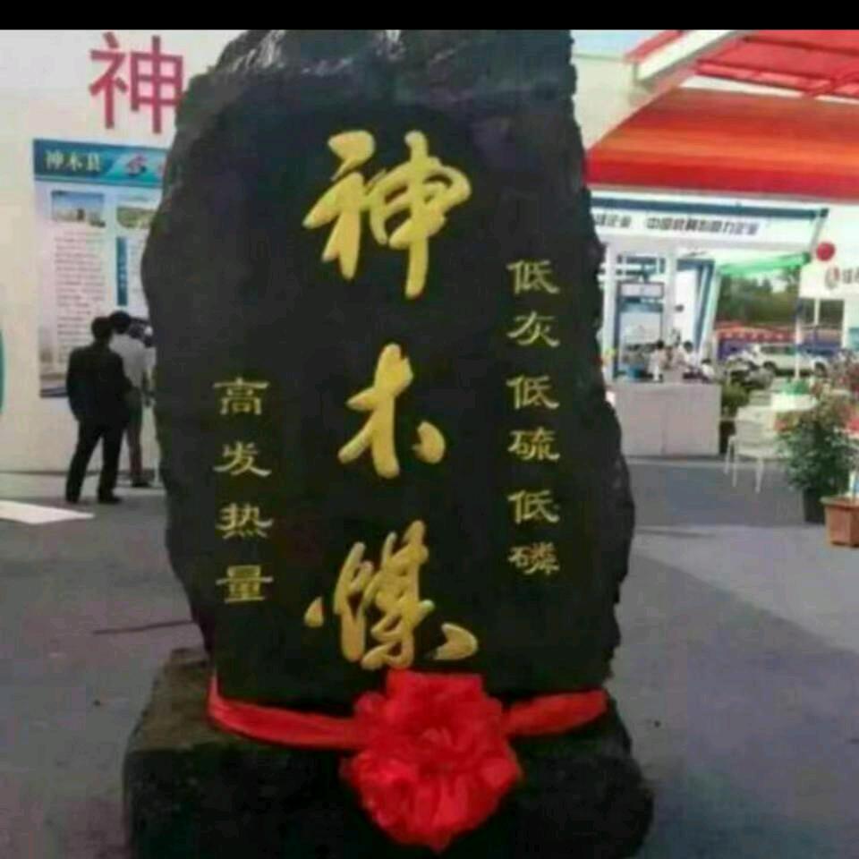 阳光，陕蒙煤炭。