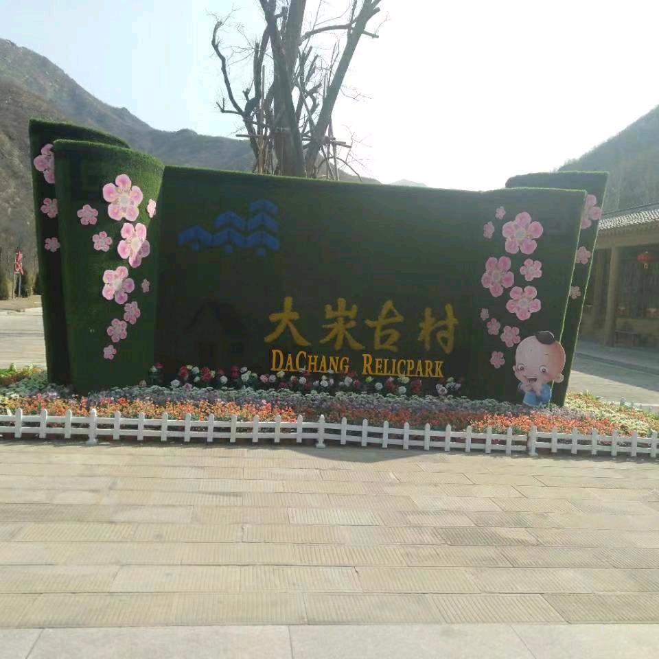 崔晓鹏