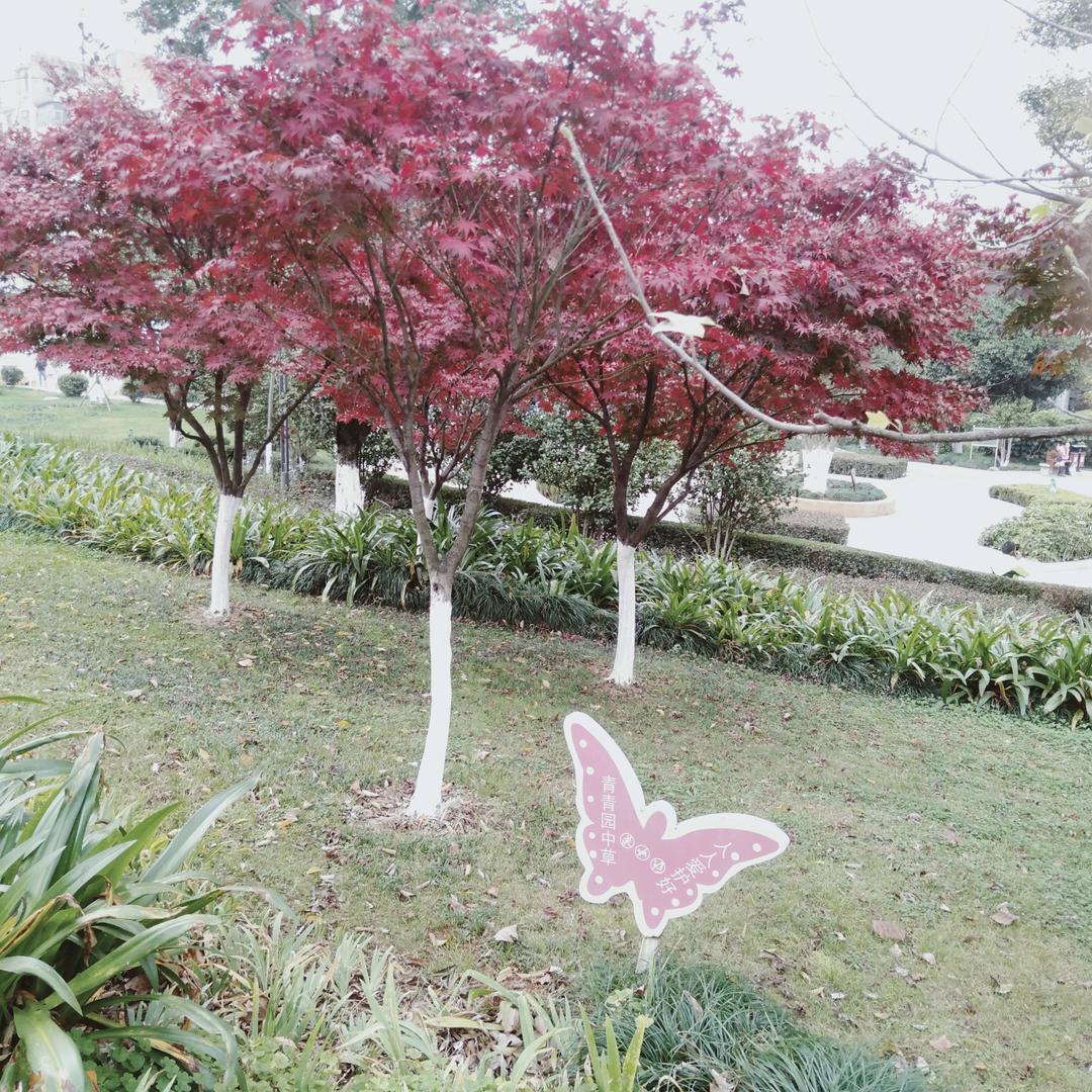星汪自助快餐