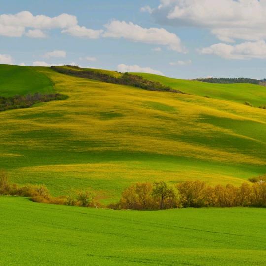 🍁平凡之路🍁