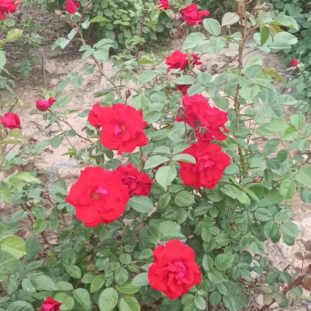 🚬⃨ઈོ人生靠ᨳᩚᤢ自己ꦿ࿐