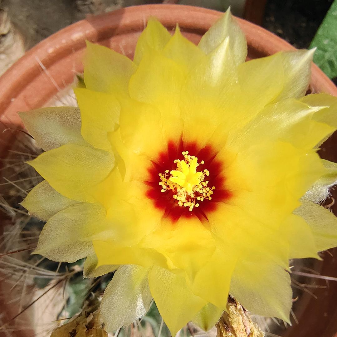 爱谁谁😎️😎️