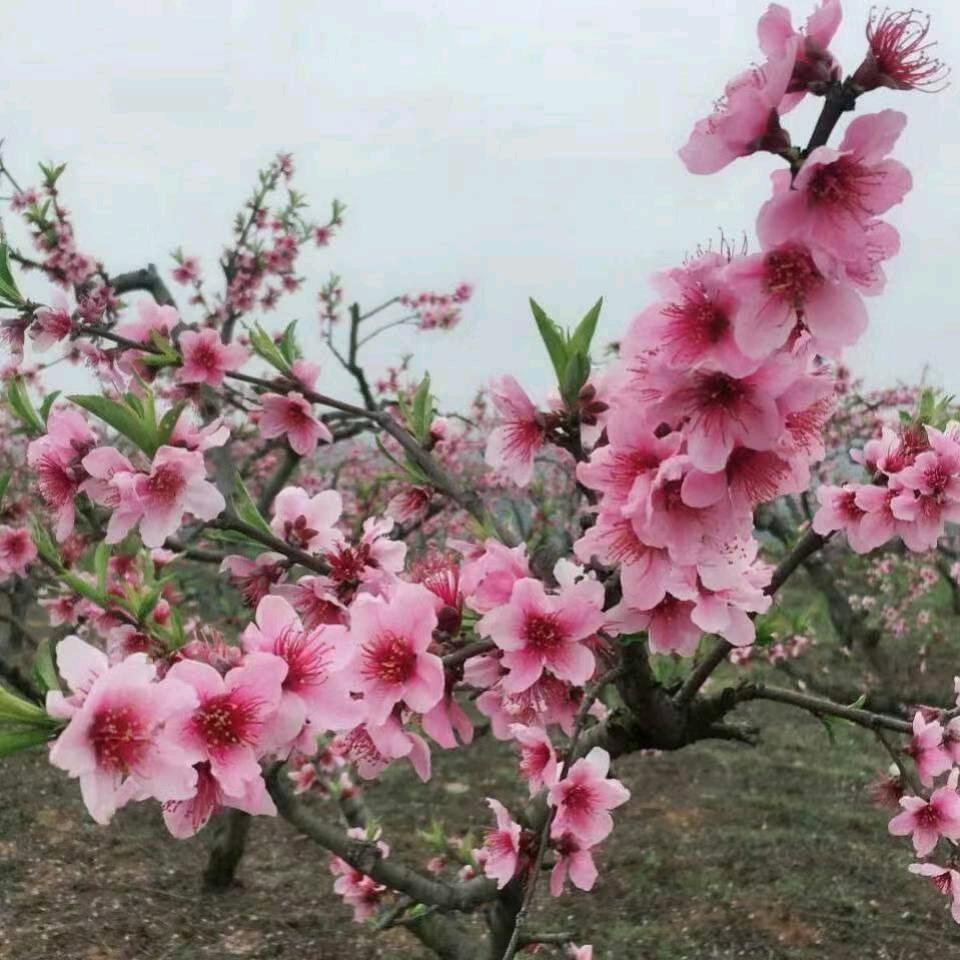 通讯录
