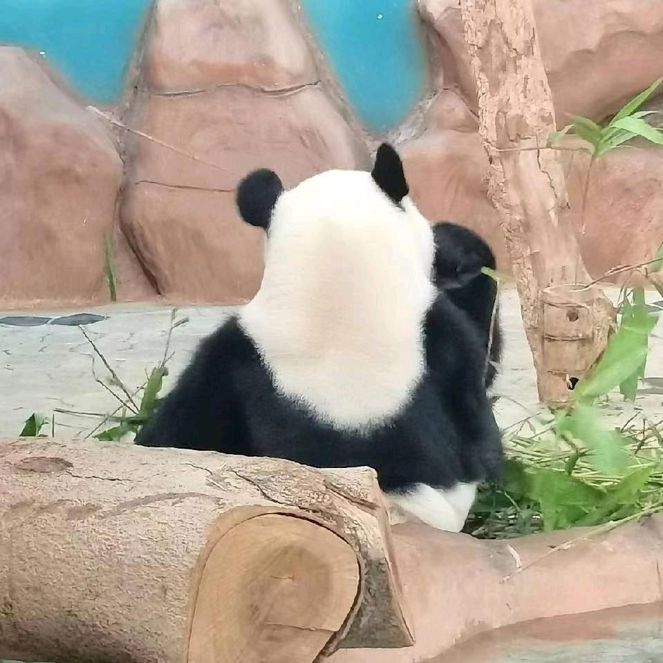 哦哦哦哦哦
