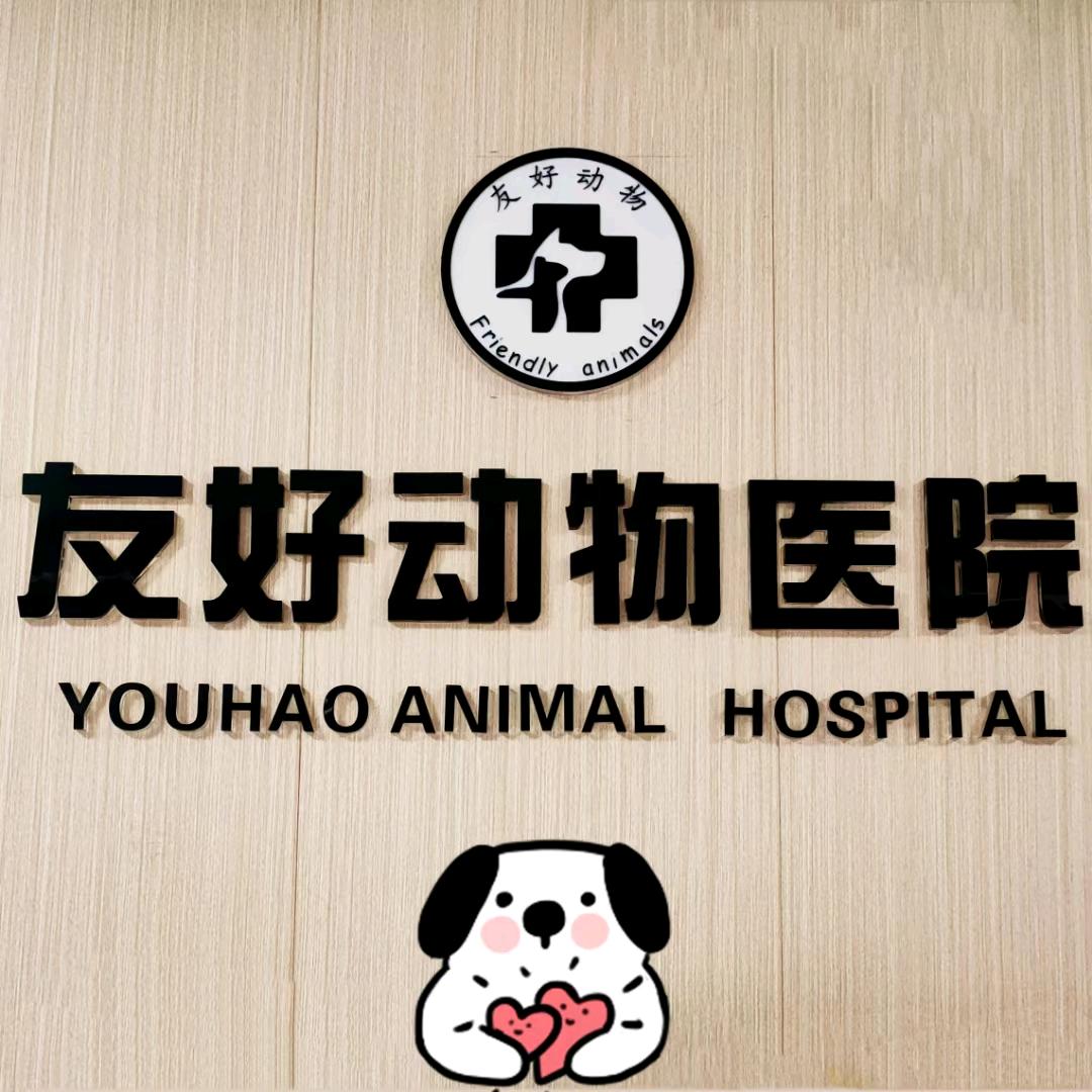 石家庄友好动物医院