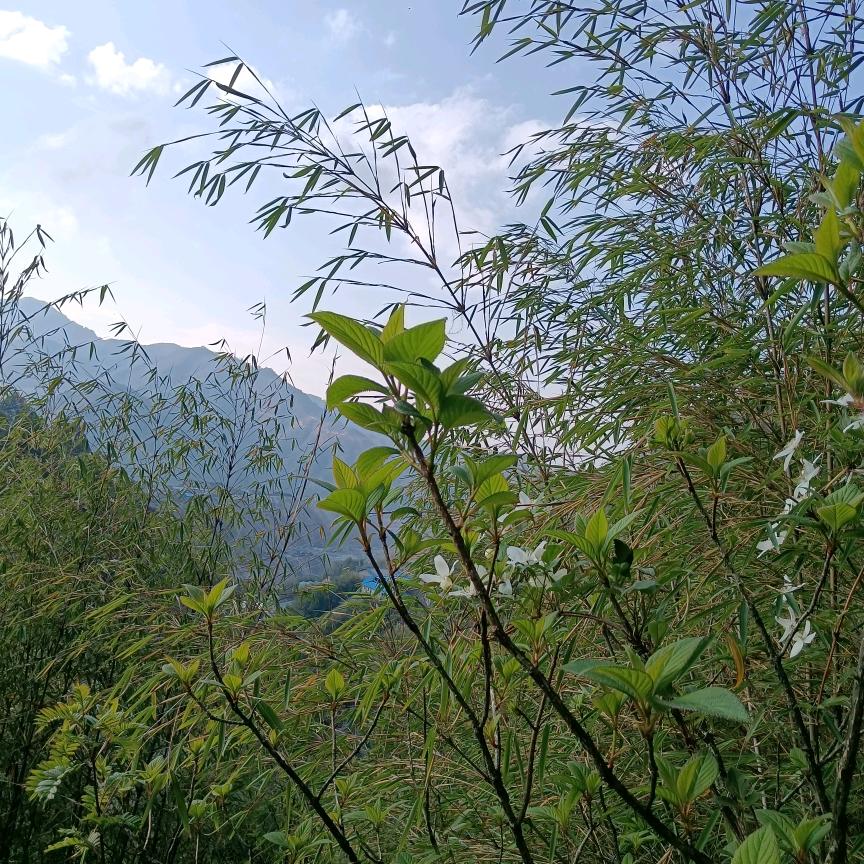 坚持不懈，重新开始！