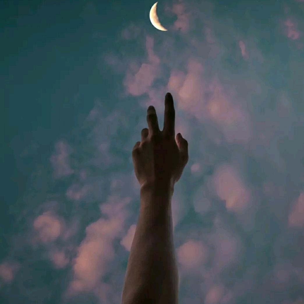 遇见你是最美丽的意外。