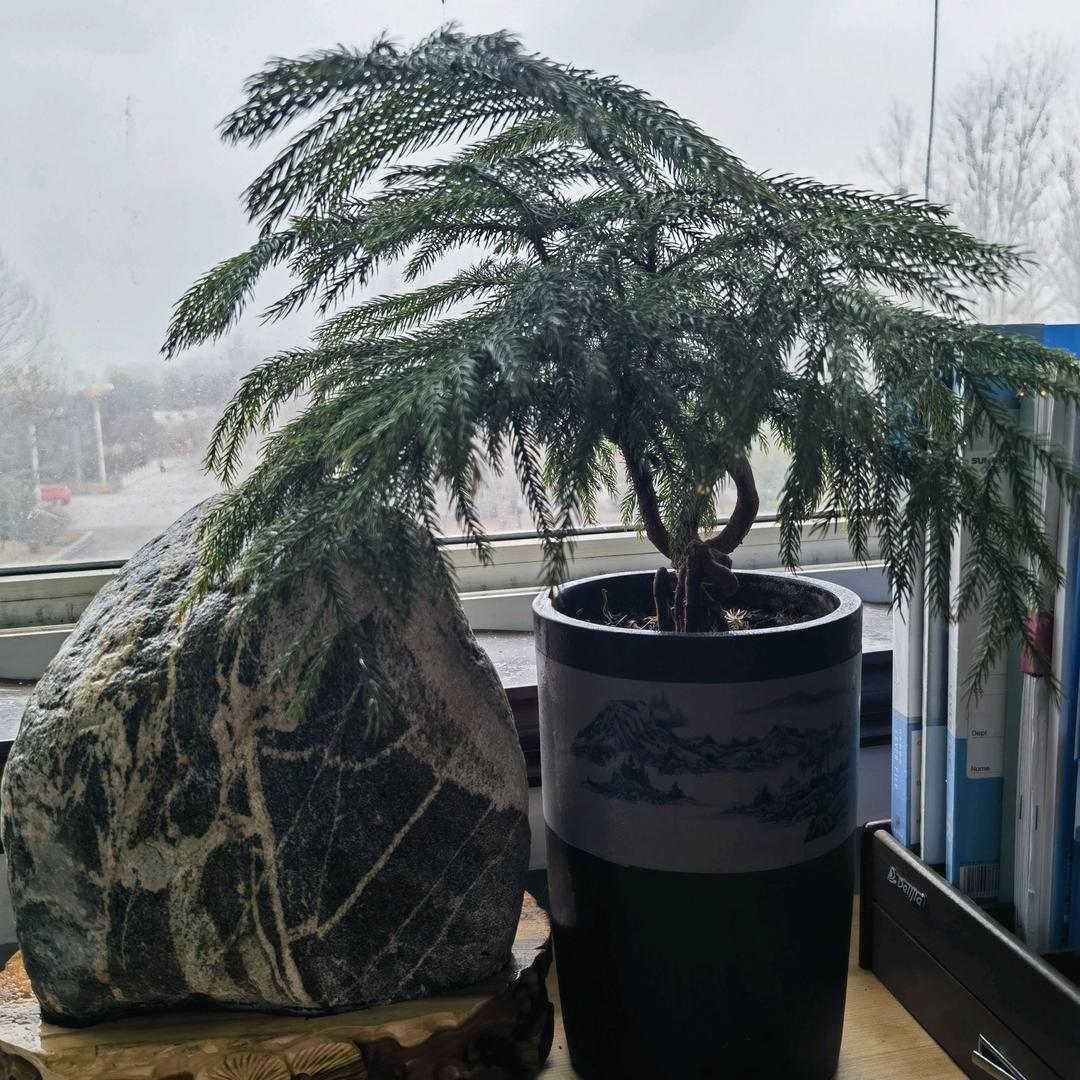 乡村希望星