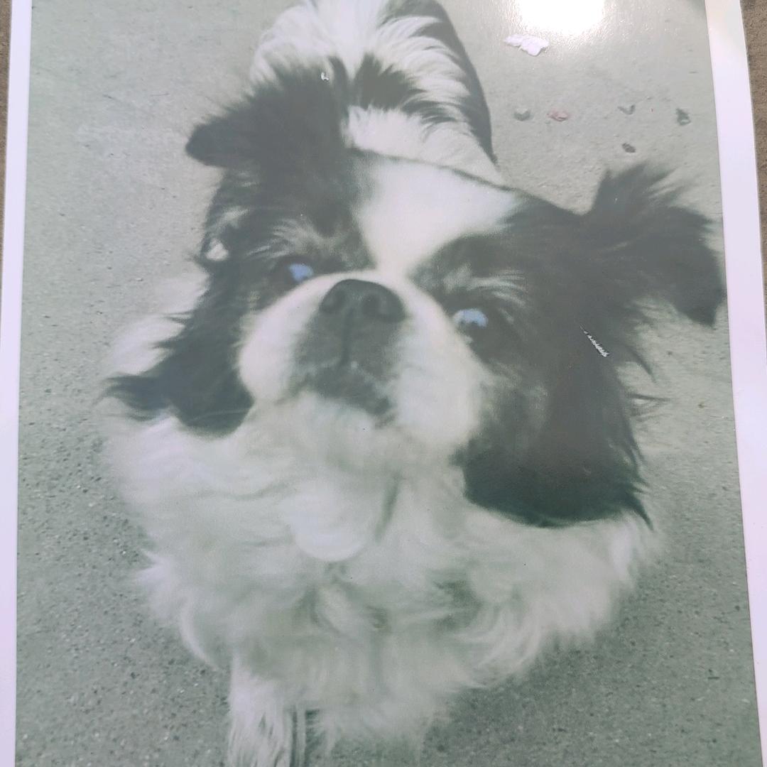 快快乐乐的生活