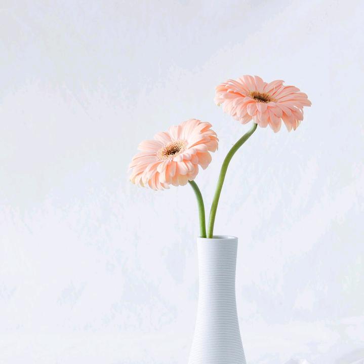 与你何干