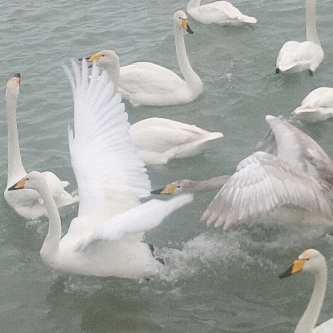 永远陪伴