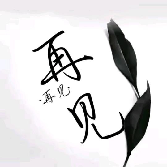 一生无悔