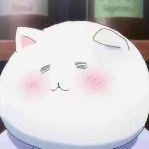 咕咕咕