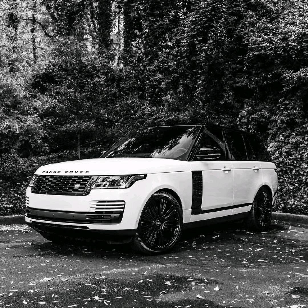 光速名车汽车服务中心