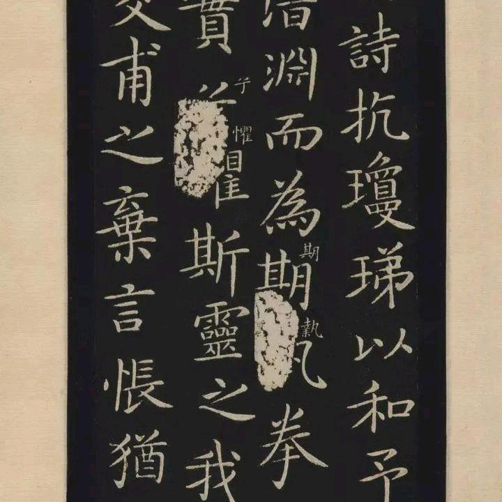 塞北胡杨