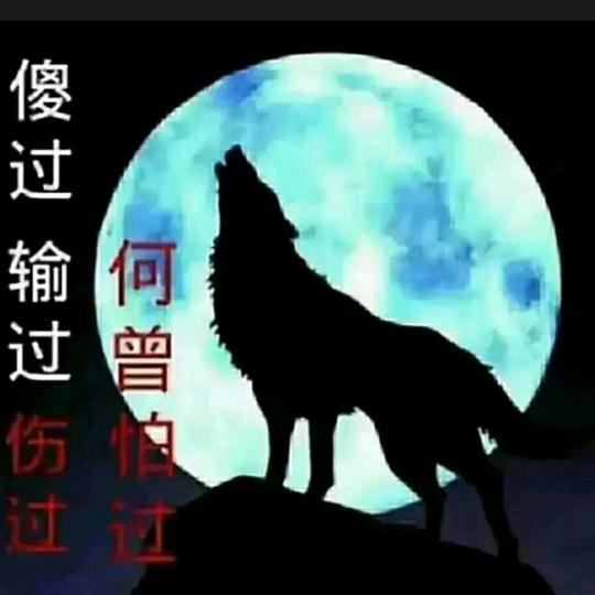 孤狼啸月