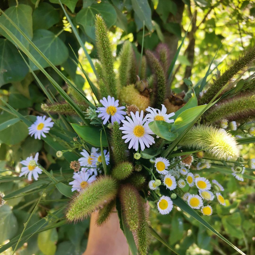 百花谷-