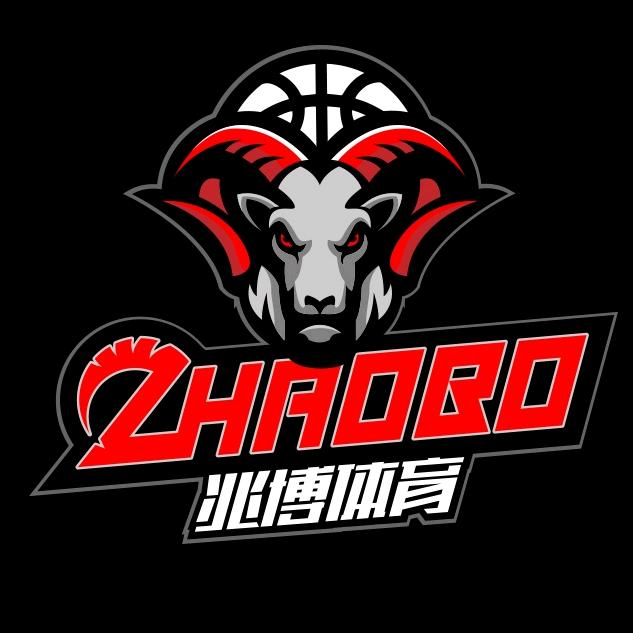 兆博-青少年篮球