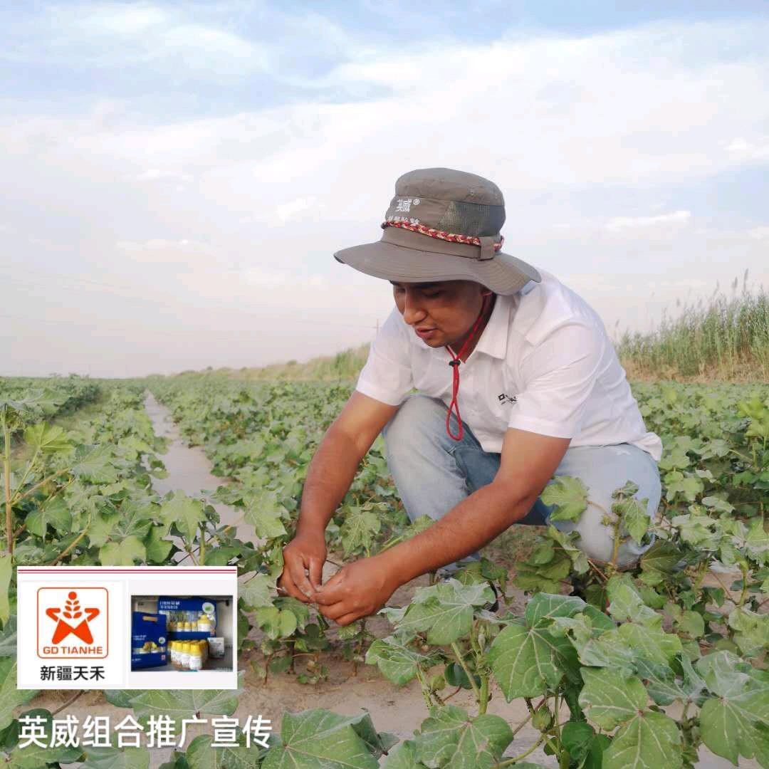老麦爱农业