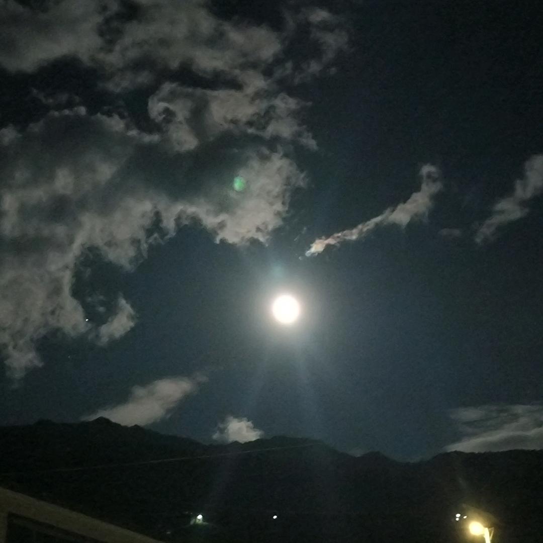 小军哥