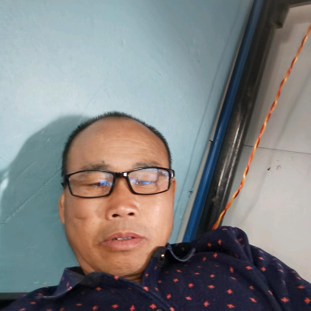 新光头强