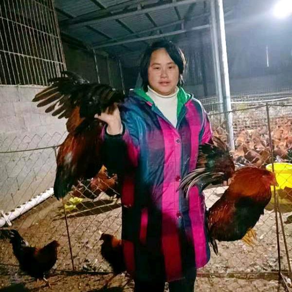 咸宁霞霞姐