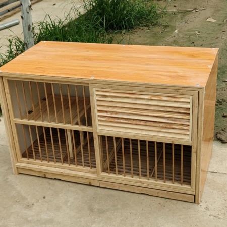 紫梦鸽具