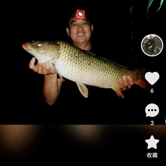 钓取人生