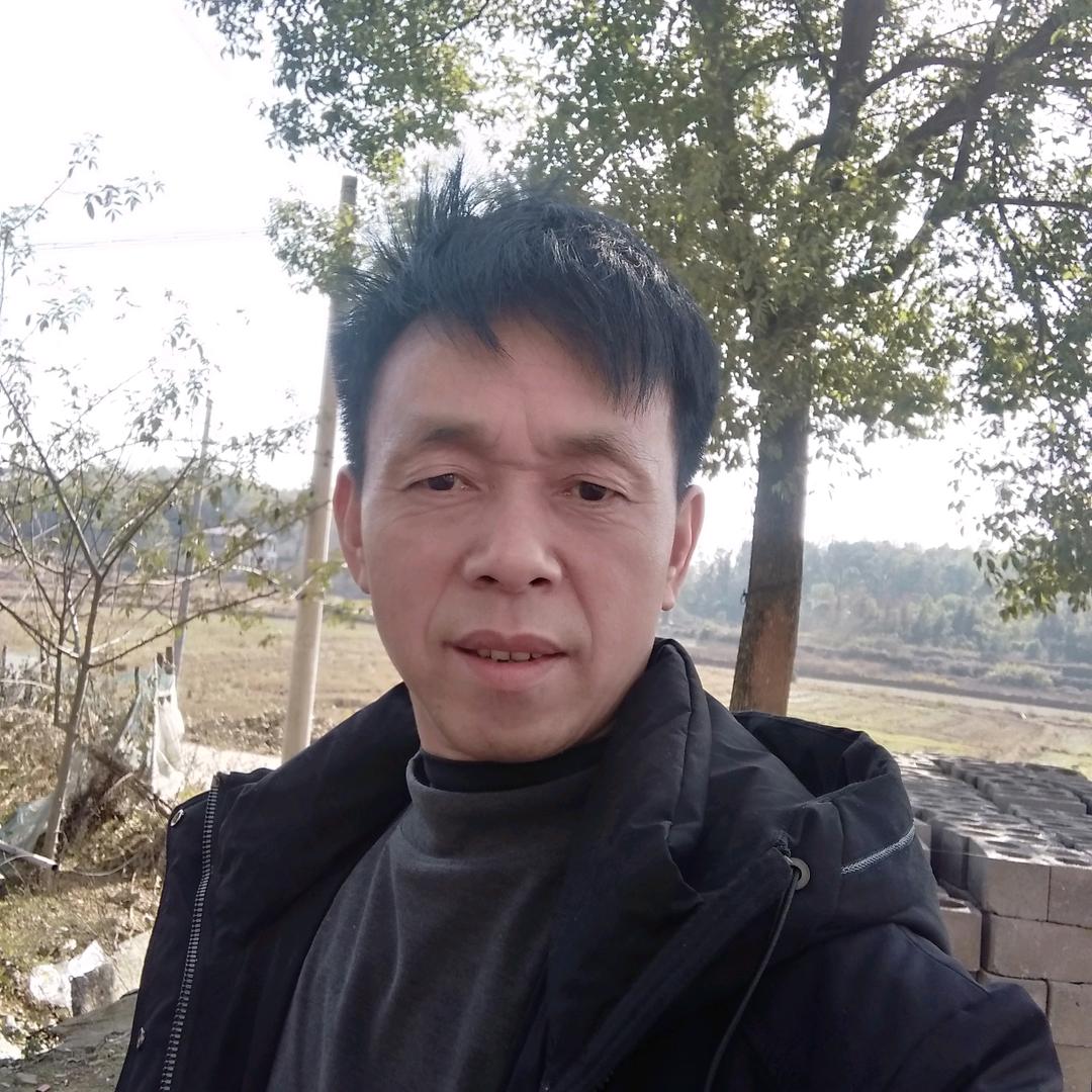 戏迷两素