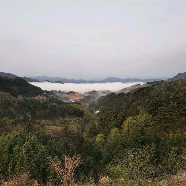 手心里的温柔