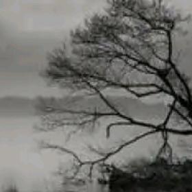 🐳咔咔咔，拉米