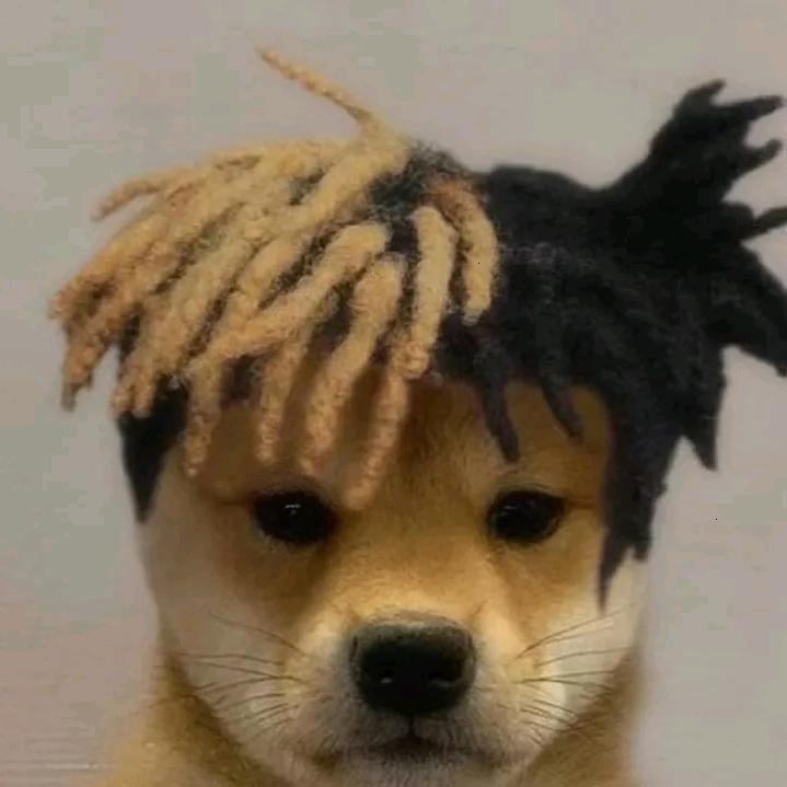 你看起来好像很好吃