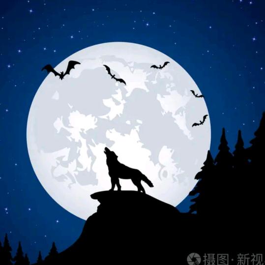 望明月