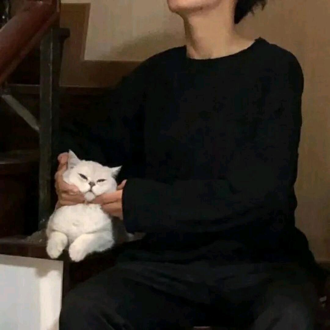 今天世界末日了吗