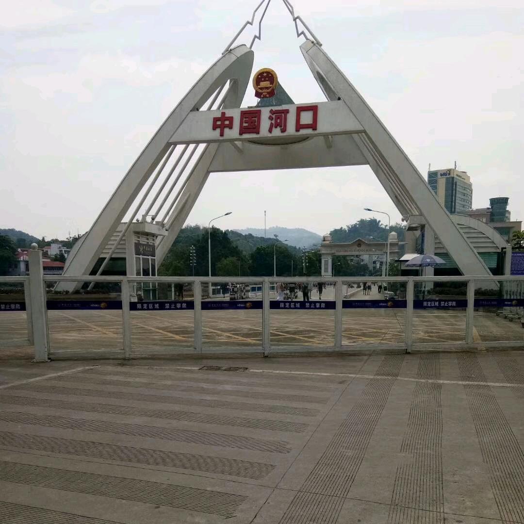 开心果L   X    T