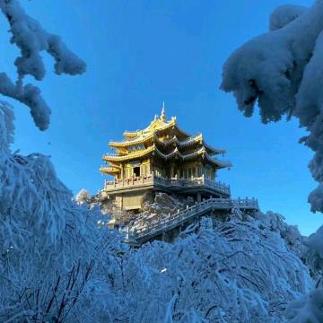 郭维善