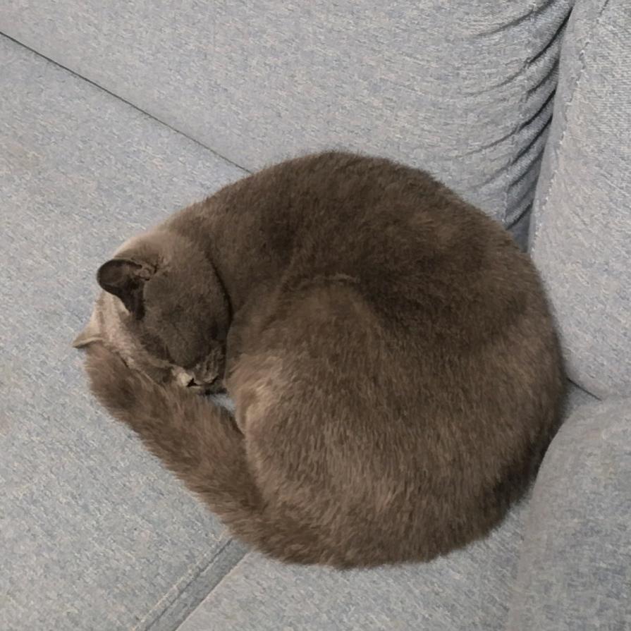 向