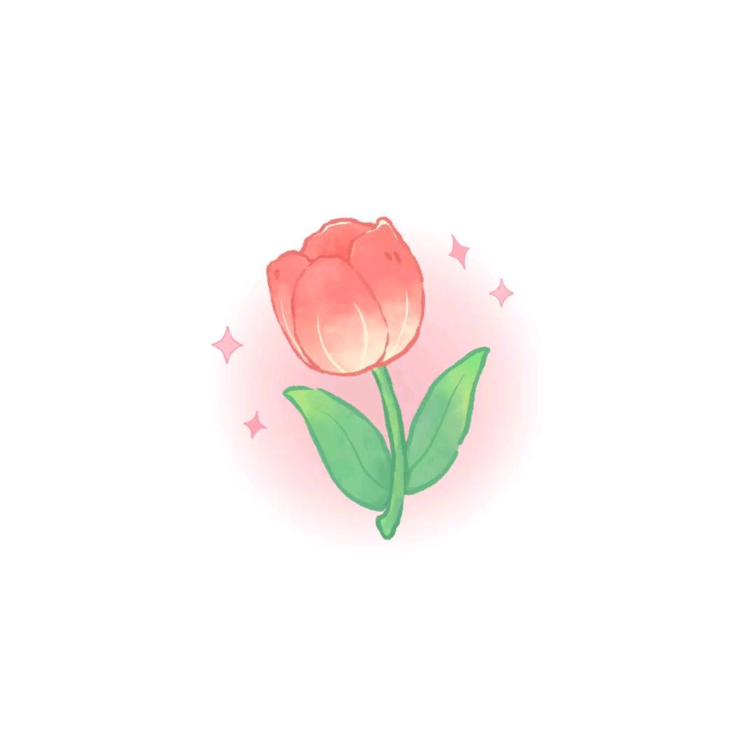 雪小花