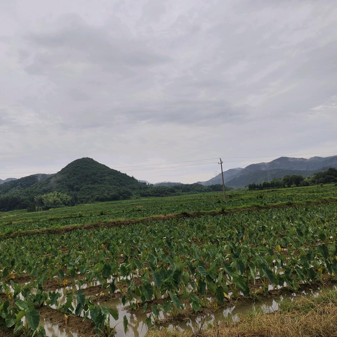 柒捌玖农业基地