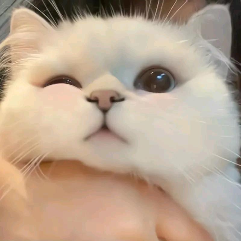 憨 憨