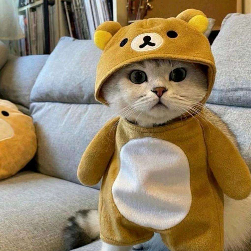 天下贰《时光》