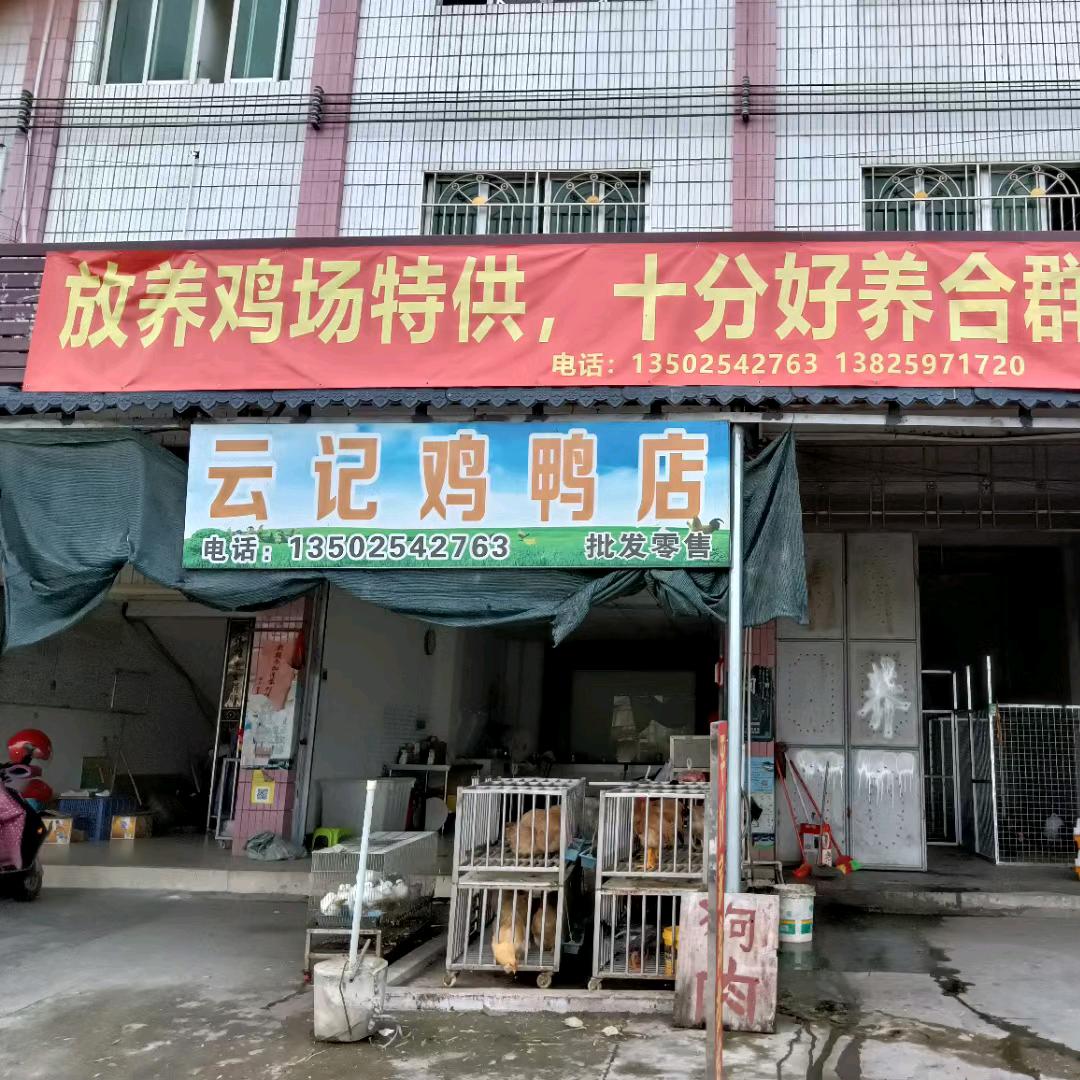 云记鸡鸭店