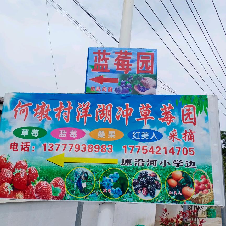 太湖县洋湖冲家庭农场