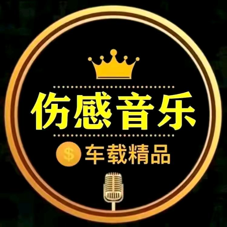 伤感音乐🐉哥