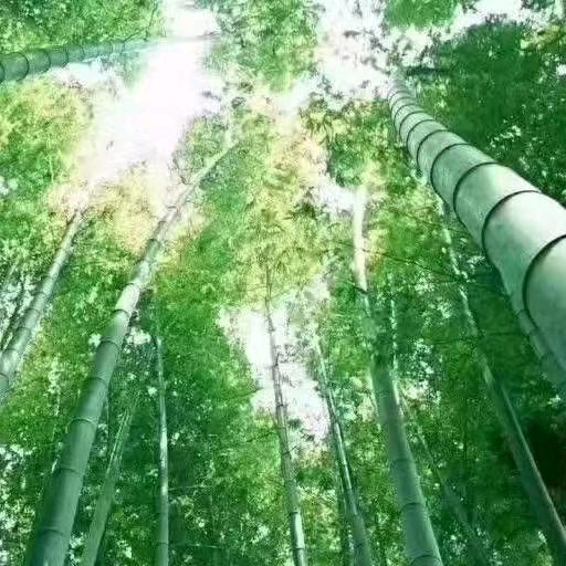 爱喝茶的男人