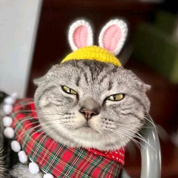 啵一个赞😽