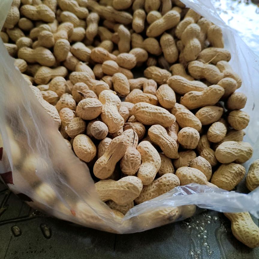 房钥匙🔑在手